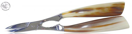 海老用はハサミ